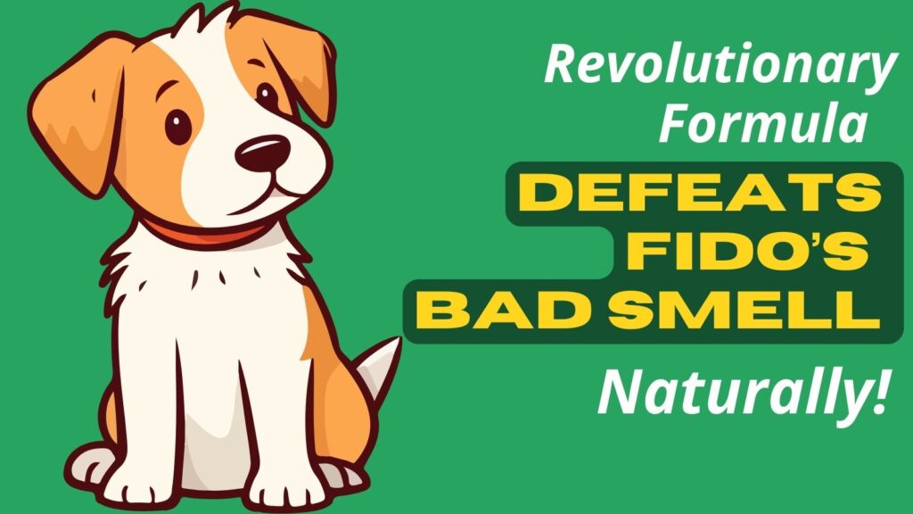 Testo del paragrafo (19)